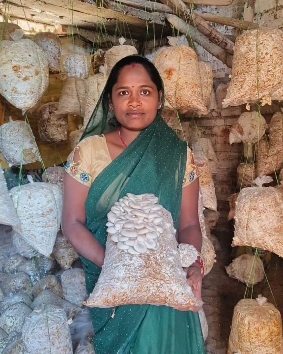 मुख्यमंत्री के सुशासन से सशक्त हुई महिलाएं