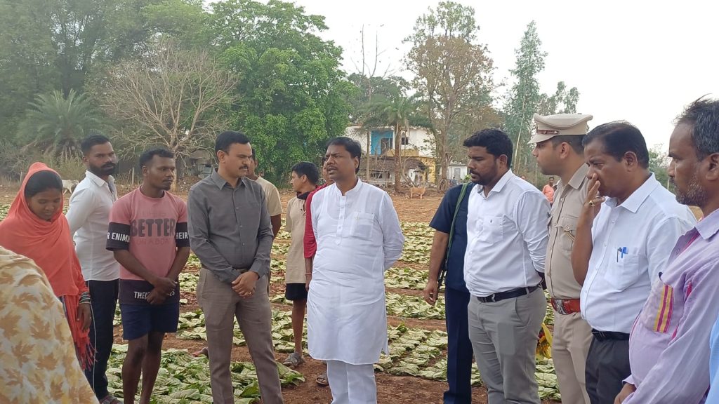 वन मंत्री  केदार कश्यप ने दहिकोंगा तेंदूपत्ता फड़ का किया निरीक्षण