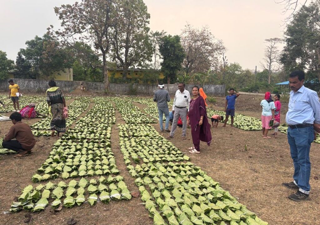 हरा सोना संग्राहकों की आय बढ़ाने की दिशा में बड़ा कदम