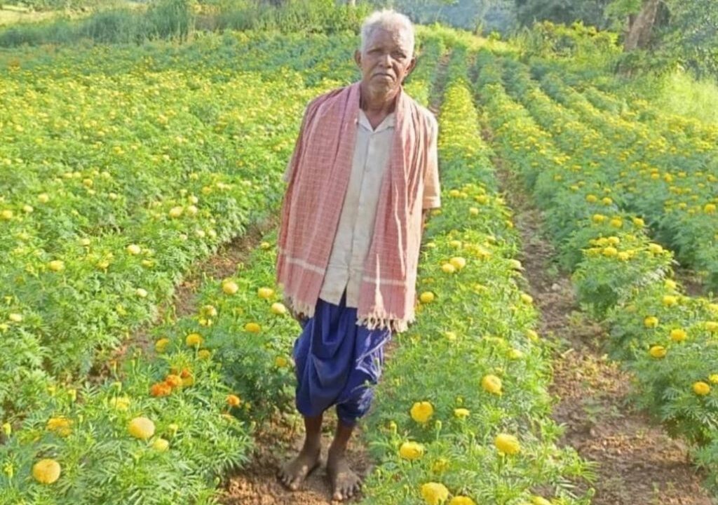 सफलता की कहानी,धान छोड़ फूलों की खेती ने बदली आनंदराम की तकदीर
