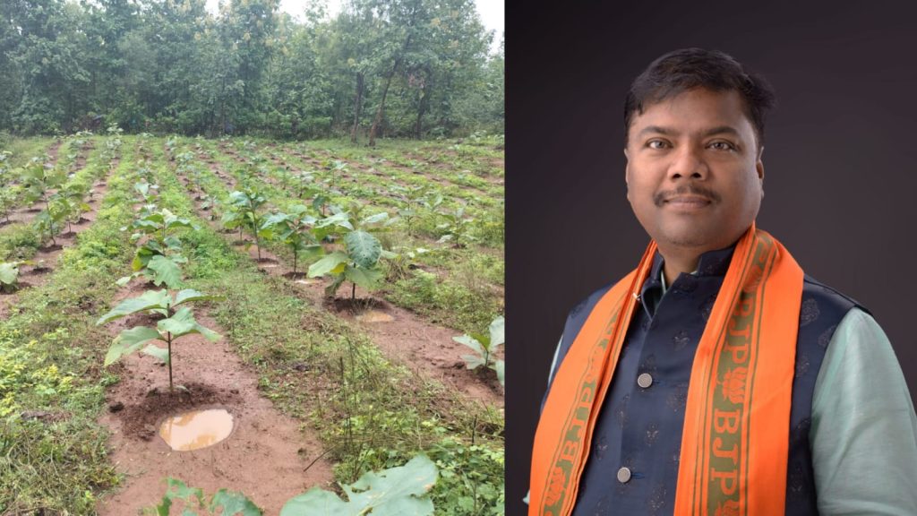 वन मंत्री केदार कश्यप के मार्गदर्शन में हजारों हेक्टेयर क्षेत्र में विकसित हो रही नई वन संपदा