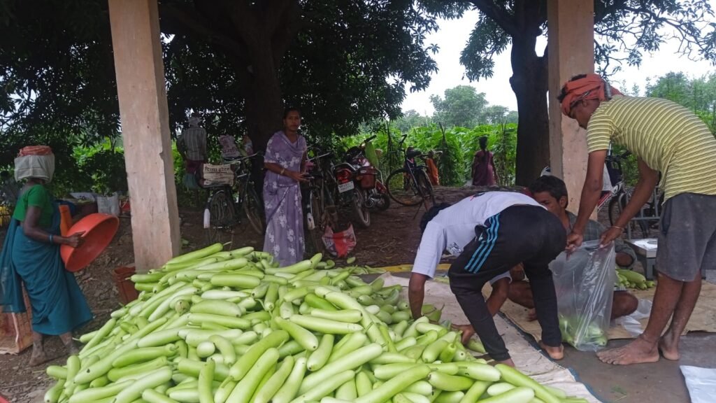 छत्तीसगढ़- सात सिंचाई योजनाओं के लिए 30.74 करोड़ रूपए स्वीकृत